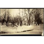 Magyar katonai temető valahol Oroszországban (?), Galícia (?), 1. világháború, 1917, 1910-es évek, monarchia, Eredeti fotó, hátulján feliratozott papírkép.  