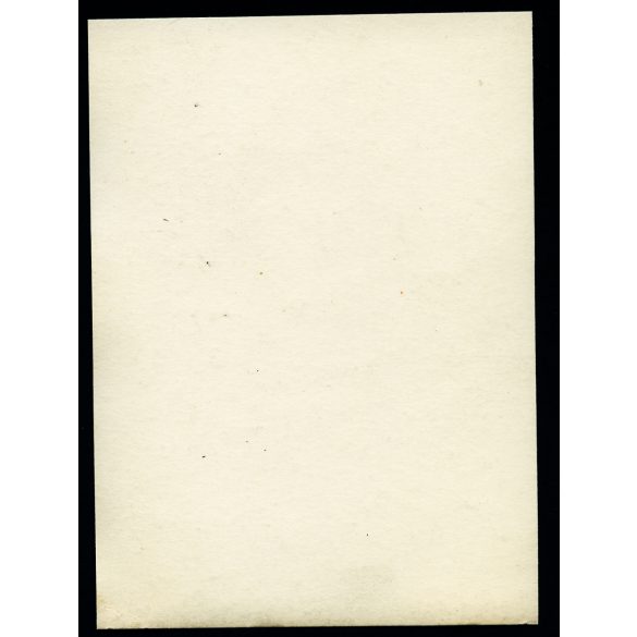 Oroszlános kút, Budapest, Népliget, közkút, Kasselik Fidél műve 1805-ből, díszkút, szobor, 10. kerület, Horthy-korszak, 1930-as évek, Eredeti fotó, papírkép. 