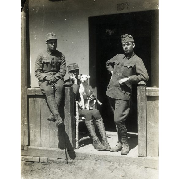Tábori posta 622, Virágh János (1. honvéd gyalogezred), feleségének, magyar katonák kutyával, egyenruha, 1. világháború, katona, monarchia, 1917. VI. 7., 1910-es évek, Eredeti fotó, papírkép, hátulján feliratozott Tábori posta. 
