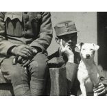 Tábori posta 622, Virágh János (1. honvéd gyalogezred), feleségének, magyar katonák kutyával, egyenruha, 1. világháború, katona, monarchia, 1917. VI. 7., 1910-es évek, Eredeti fotó, papírkép, hátulján feliratozott Tábori posta. 