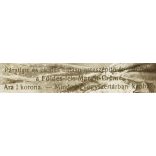 „Páratlan és csodás hatású arczszépítő és finomító a Földes-féle Margit-Créme”, reklám, elegáns nő gyönyörű szemekkel, portré, 1912, 1910-es évek, monarchia, Eredeti képeslap fotó nyomtatott reklámszöveggel, hátulján feliratozott papírkép. 