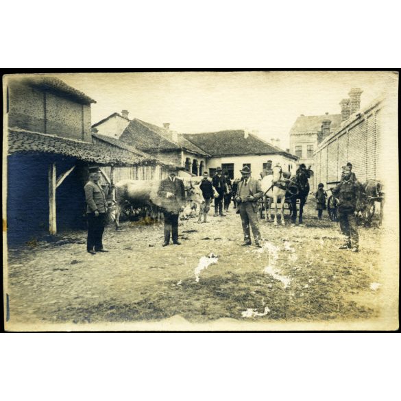 K.u.K. Bezirkskommando, Kragujevac, Szerbia, kerületi parancsnokság, magyar katonák egy szerb udvaron, 1. világháború, egyenruha, 1910-es évek, monarchia, Eredeti fotó, hátulján feliratozott, pecséttel jelzett papírkép, felületén kopásnyomok.  