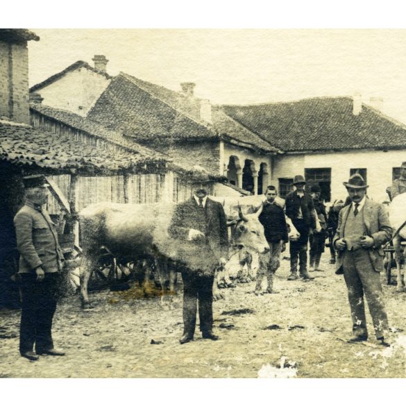 K.u.K. Bezirkskommando, Kragujevac, Szerbia, kerületi parancsnokság, magyar katonák egy szerb udvaron, 1. világháború, egyenruha, 1910-es évek, monarchia, Eredeti fotó, hátulján feliratozott, pecséttel jelzett papírkép, felületén kopásnyomok.  