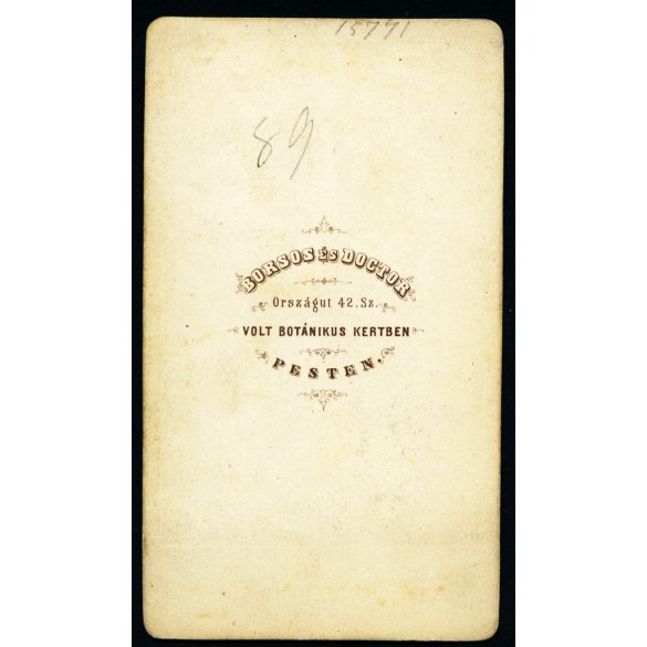 Borsos és Doctor műterme, Pest, elegáns fiatal nő portréja, gyönyörű haj, frizura, nemes, monarchia, 1860-as évek, Eredeti CDV, vizitkártya fotó. 