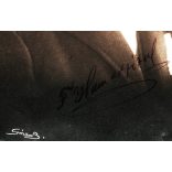 Gáll Béla műterme, Sepsiszentgyörgy (Tusnádfürdő ?), Erdély, elegáns bajuszos férfi, F. Hamar Géza portréja, 1928, 1920-as évek, Horthy-korszak, helytörténet. Eredeti fotó, jelzett, szignózott, aláírt papírkép, hátulján feliratozott.   