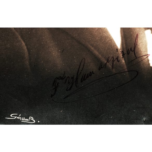 Gáll Béla műterme, Sepsiszentgyörgy (Tusnádfürdő ?), Erdély, elegáns bajuszos férfi, F. Hamar Géza portréja, 1928, 1920-as évek, Horthy-korszak, helytörténet. Eredeti fotó, jelzett, szignózott, aláírt papírkép, hátulján feliratozott.   