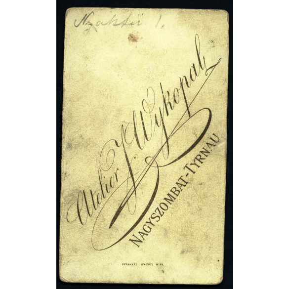 Wykopal műterem, Nagyszombat, Felvidék, (Tyrnau), elegáns nő gyönyörű ruhában, helytörténet, monarchia, 1880-as évek, Eredeti CDV, vizitkártya fotó.  