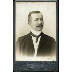   R. F. Niederhoff műterme, Eszék, Délvidék (Szlavónia, Vajdaság), Weiner Henrik hivatalnok aláírt Személyazonossági igazolójegye, Magyar Királyi Államvasutak, bajusz, férfi, mélynyomó pecsét, közlekedés,  monarchia, 1907, 1900-as évek, Eredeti CDV, vi