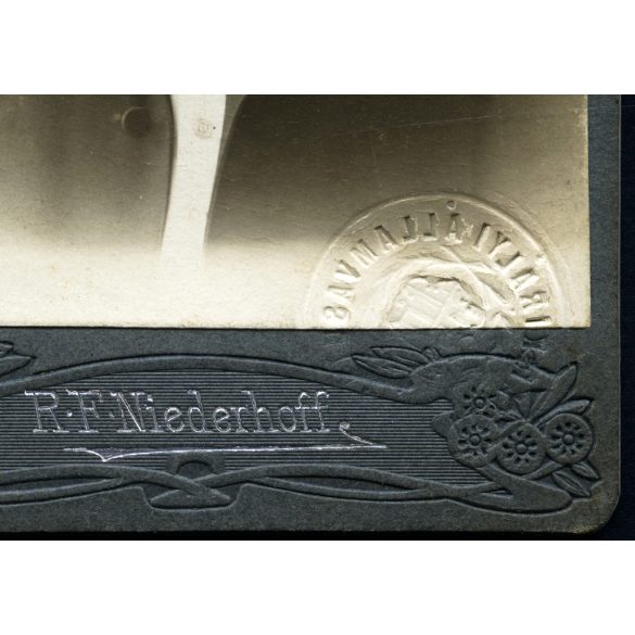 R. F. Niederhoff műterme, Eszék, Délvidék (Szlavónia, Vajdaság), Weiner Henrik hivatalnok aláírt Személyazonossági igazolójegye, Magyar Királyi Államvasutak, bajusz, férfi, mélynyomó pecsét, közlekedés,  monarchia, 1907, 1900-as évek, Eredeti CDV, vi