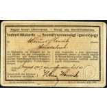 R. F. Niederhoff műterme, Eszék, Délvidék (Szlavónia, Vajdaság), Weiner Henrik hivatalnok aláírt Személyazonossági igazolójegye, Magyar Királyi Államvasutak, bajusz, férfi, mélynyomó pecsét, közlekedés,  monarchia, 1907, 1900-as évek, Eredeti CDV, vi