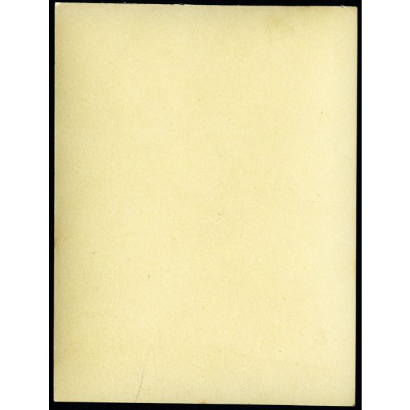 Gisela Mauermayer német olimpiai bajnok diszkoszvető horogkeresztes náci mezben, Berlin, Olimpia, atlétika, sport, Németország, Német Birodalom, 1936, 1930-as évek, . Eredeti fotó, papírkép. 