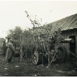 Jól álcázott német nehéztüzérség, Lengyelország, ágyú, katona, náci egyenruha, fegyver, 2. világháború, Horthy-korszak, 1939, 1930-as évek, Eredeti sztereó fotó, hátulján feliratozott gyűjteményes papírkép. 