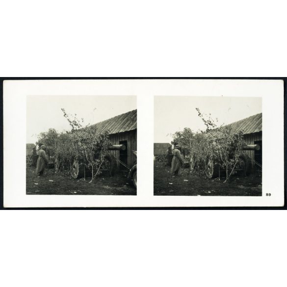 Jól álcázott német nehéztüzérség, Lengyelország, ágyú, katona, náci egyenruha, fegyver, 2. világháború, Horthy-korszak, 1939, 1930-as évek, Eredeti sztereó fotó, hátulján feliratozott gyűjteményes papírkép. 