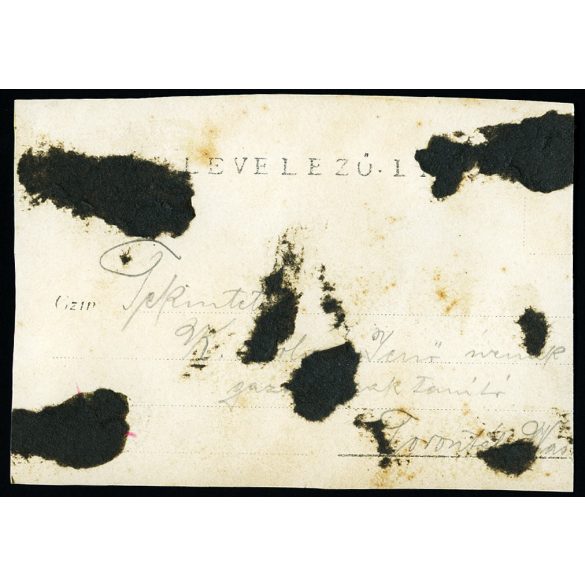 Bajuszos férfi magyaros ruhában, árvalányhaj, fokos, hegedű, pipa, csizma, bor ital, zene, zsáner, monarchia, 1900-as évek, Eredeti fotó, hátulján feliratozott papírkép. 