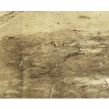 Főutca ruszin parasztokkal, Szolyva, Kárpátalja, templom, 1900-as évek, monarchia, helytörténet, Eredeti fotó,  papírkép, középen szakadás, hátulja foltos.   