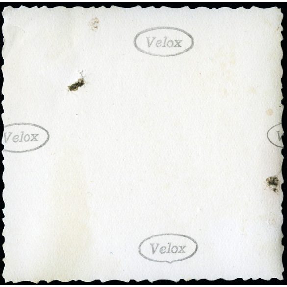 2 darab fotó, vallási felvonulás, Kassa, Felvidék, körmenet (?), villamos, lovasszekér reklámokkal, üzlet, jármű, közlekedés, egyház, Horthy-korszak, helytörténet, Eredeti fotó,  papírkép.  