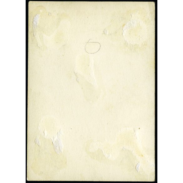 Girsik János kolozsvári erdőigazgató és családja, Erdély, egy olajfestmény feliratozott fotója, 1930-as évek, Horthy-korszak, Eredeti fotó, feliratozott papírkép.  