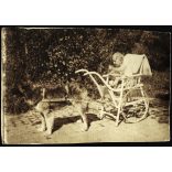 Elegáns kisfiú kutya vontatta babakocsiban, Magyaratád, különös, vicces, Somogy megye, helytörténet, monarchia, 1914, 1910-es évek. Eredeti fotó, hátulján feliratozott papírkép.  