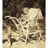 Elegáns kisfiú kutya vontatta babakocsiban, Magyaratád, különös, vicces, Somogy megye, helytörténet, monarchia, 1914, 1910-es évek. Eredeti fotó, hátulján feliratozott papírkép.  