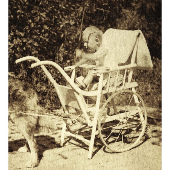 Elegáns kisfiú kutya vontatta babakocsiban, Magyaratád, különös, vicces, Somogy megye, helytörténet, monarchia, 1914, 1910-es évek. Eredeti fotó, hátulján feliratozott papírkép.  