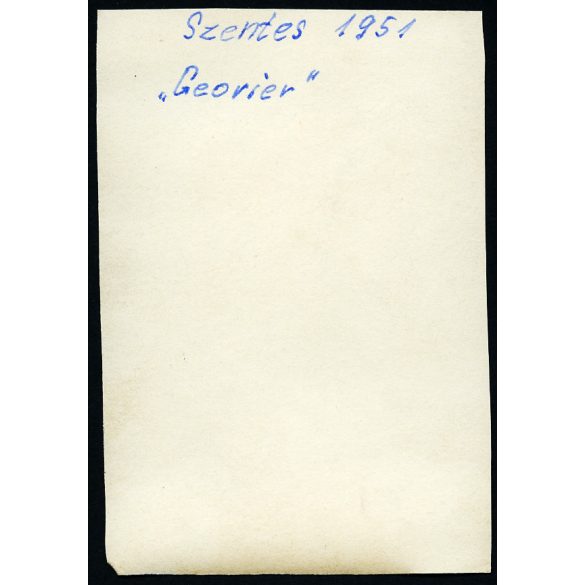Repülőbaleset, Szentes, lezuhant vitorlázó repülőgép, aviatika, jármű, közlekedés,  1951, 1950-es évek, kommunizmus, Eredeti fotó, papírkép.