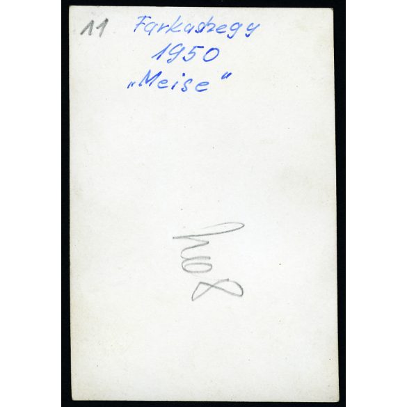 Meise vitorlázó repülőgép, Farkashegy, HA-4083 lajstromjel, jármű, közlekedés, aviatika, propaganda felirat a hangáron, 1950, 1950-es évek, kommunizmus, Eredeti fotó, hátulján feliratozott papírkép. 