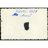 Zámolyi M 28 Daru II  magyar gyártmányú repülőgép, mindössze néhány darab készült belőle, Szentes, pilóta, jármű, közlekedés, aviatika, 1951, 1950-es évek, kommunizmus, Eredeti fotó, papírkép. 