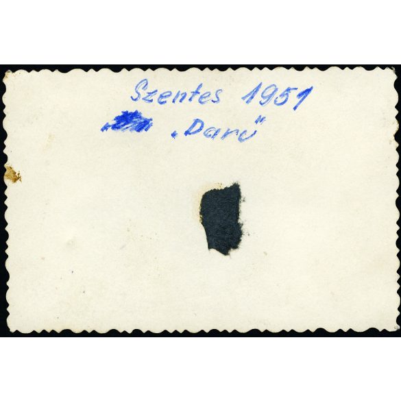 Zámolyi M 28 Daru II  magyar gyártmányú repülőgép, mindössze néhány darab készült belőle, Szentes, pilóta, jármű, közlekedés, aviatika, 1951, 1950-es évek, kommunizmus, Eredeti fotó, papírkép. 