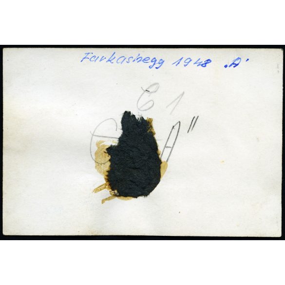 R–07b Vöcsök magyar vitorlázó repülőgép (Rubik-tervezés), Farkashegy, pilóta, repülőtér, jármű, közlekedés, aviatika, 1948, 1940-es évek, kommunizmus, Eredeti fotó, hátulján feliratozott papírkép.  