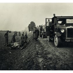   Vonuló német katonák, Lengyelország, katonák teherautókkal, jármű, közlekedés, náci egyenruha, 2. világháború, döglött ló, lótetem, Horthy-korszak, 1939, 1930-as évek, Eredeti sztereó fotó, hátulján feliratozott gyűjteményes papírkép. 