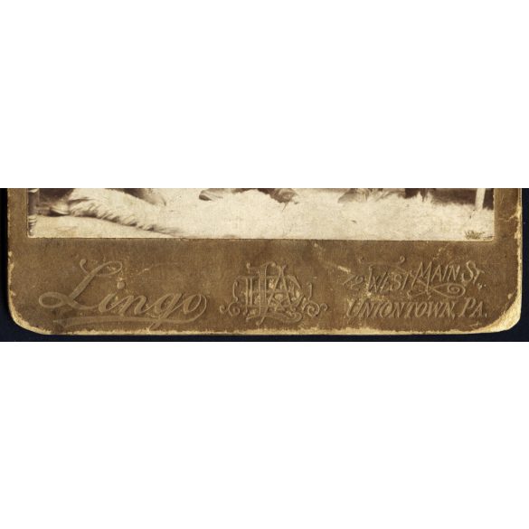 Lingo műterem, Uniontown (USA, Egyesült Államok), magyar kivándorlók portréja az Újvilágban, Tilka Mátyás, monarchia, 1900-as évek, Eredeti, hátulján feliratozott kabinetfotó.  