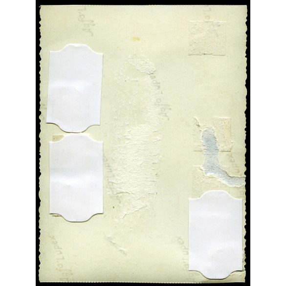 Anton Hartl mészáros, hentes  üzlete, kirakata, Németország, náci propaganda, horogkereszt, politikai plakát, 2. világháború, 1940-es évek, Horthy korszak, Eredeti fotó, papírkép, hátulja sérült. 