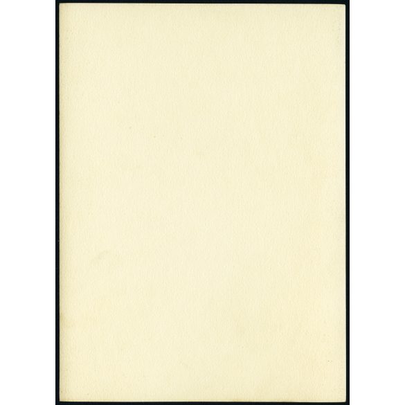 Nagyobb méret, Zsolnay Vilmos szobra, Pécs, utcakép, Baranya megye, , 1930-as évek, Horthy-korszak, Eredeti fotó, papírkép. 