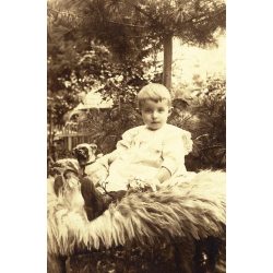   Nagyobb méret, Désakna, Erdély, elegáns kisfiú játékkutyával, néprajz, helytörténet, monarchia, 1909, 1900-as évek, Eredeti kabinetfotó, kartonra ragasztott fotó gyönyörű mélynyomott kartonon.. 