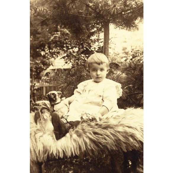 Nagyobb méret, Désakna, Erdély, elegáns kisfiú játékkutyával, néprajz, helytörténet, monarchia, 1909, 1900-as évek, Eredeti kabinetfotó, kartonra ragasztott fotó gyönyörű mélynyomott kartonon.. 