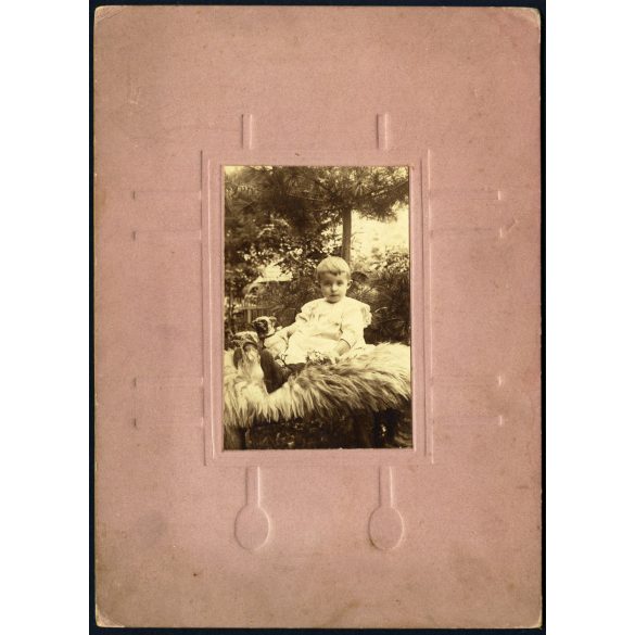 Nagyobb méret, Désakna, Erdély, elegáns kisfiú játékkutyával, néprajz, helytörténet, monarchia, 1909, 1900-as évek, Eredeti kabinetfotó, kartonra ragasztott fotó gyönyörű mélynyomott kartonon.. 