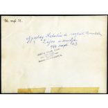 Nagyobb méret, Arnóth Szabó Lajos fényképész, Budapest, Lajos Pál (?) repülős tiszt és Gyulay Katalin esküvője, menyasszony, 2. világháború, katona, egyenruha, aviatika, 1944. szeptember 23., 1940-es évek, Horthy-korszak, Eredeti fotó, hátulján felir