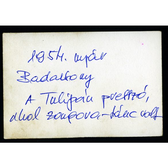 A Tulipán presszó, Badacsony, Balaton, vendéglátás, kommunizmus, helytörténet, 1954, 1950-es évek, Eredeti fotó, hátulján feliratozott papírkép. 