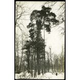 Magyar katonák egy figyelőállásban, Volhynia (Volhinia), Lengyelország, Ukrajna, egyenruha, 1. világháború, katona,  1910-es évek, monarchia,. Eredeti fotó, hátulján feliratozott, papírkép.  