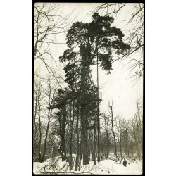   Magyar katonák egy figyelőállásban, Volhynia (Volhinia), Lengyelország, Ukrajna, egyenruha, 1. világháború, katona,  1910-es évek, monarchia,. Eredeti fotó, hátulján feliratozott, papírkép.  