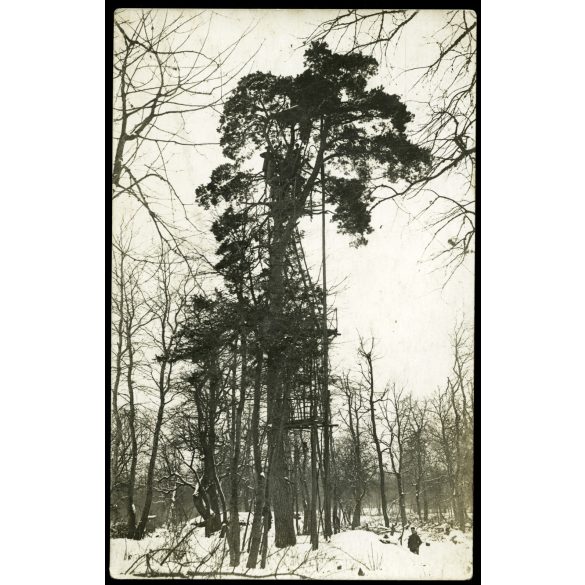 Magyar katonák egy figyelőállásban, Volhynia (Volhinia), Lengyelország, Ukrajna, egyenruha, 1. világháború, katona,  1910-es évek, monarchia,. Eredeti fotó, hátulján feliratozott, papírkép.  