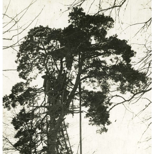 Magyar katonák egy figyelőállásban, Volhynia (Volhinia), Lengyelország, Ukrajna, egyenruha, 1. világháború, katona,  1910-es évek, monarchia,. Eredeti fotó, hátulján feliratozott, papírkép.  