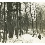 Magyar katonák egy figyelőállásban, Volhynia (Volhinia), Lengyelország, Ukrajna, egyenruha, 1. világháború, katona,  1910-es évek, monarchia,. Eredeti fotó, hátulján feliratozott, papírkép.  