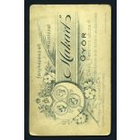 Vizitkártya, CDV, Győr, Makart fényirda, műterem, lány, Gizella portréja,  1890-es évek, Eredeti fotó, papírkép.  